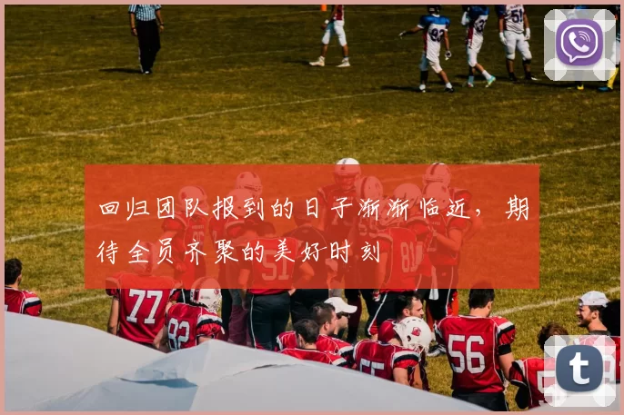 回归团队报到的日子渐渐临近，期待全员齐聚的美好时刻